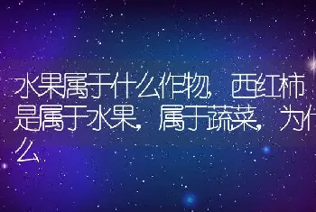 水果属于什么作物