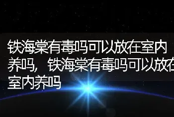 铁海棠有毒吗可以放在室内养吗