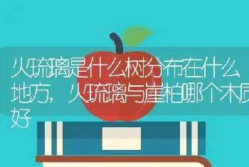 火琉璃是什么树分布在什么地方