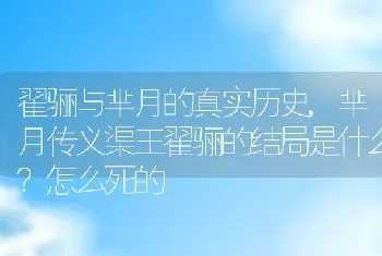 芈月传义渠王翟骊的结局是什么怎么死的