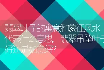 翡翠吊坠叶子好还是如意好