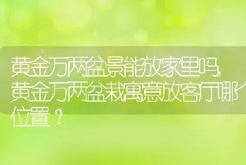 黄金万两盆栽寓意放客厅哪个位置