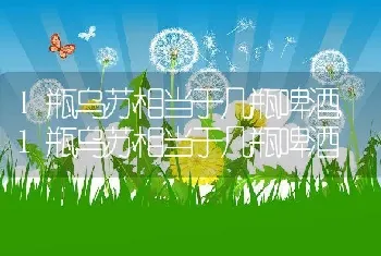 华丽风车好度夏吗