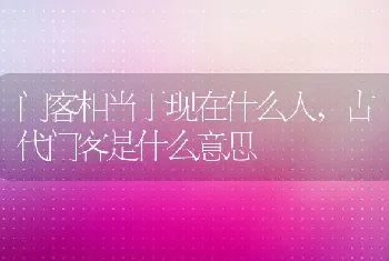 门客相当于现在什么人