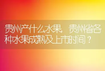 贵州省各种水果成熟及上市时间