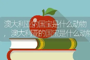 澳大利亚的国宝是什么动物