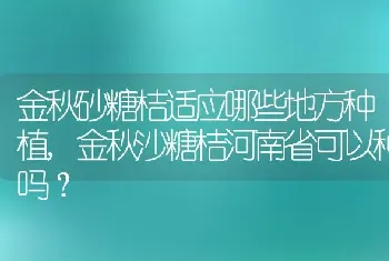 金秋沙糖桔河南省可以种吗