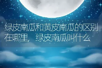 绿皮南瓜和黄皮南瓜的区别在哪里