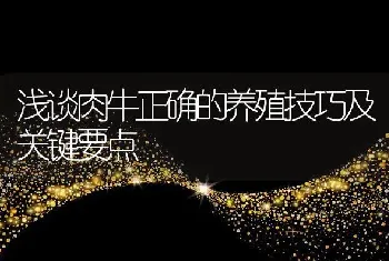 浅谈肉牛正确的养殖技巧及关键要点