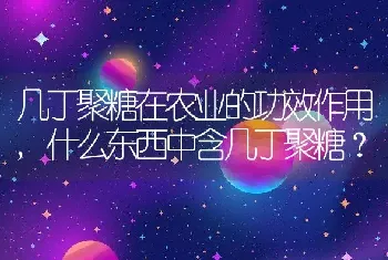 什么东西中含几丁聚糖