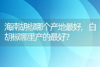 白胡椒哪里产的最好