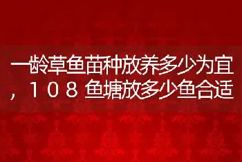 一龄草鱼苗种放养多少为宜