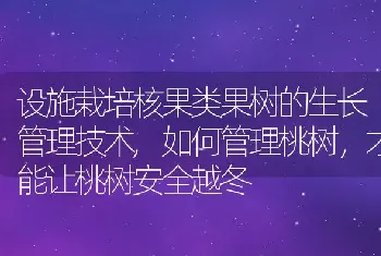 设施栽培核果类果树的生长管理技术