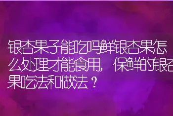 保鲜的银杏果吃法和做法