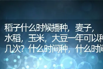 麦子，水稻，玉米，大豆一年可以种几次什么时间种