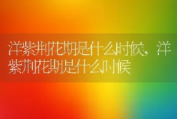 代表清净、高洁、我爱你、真情花语是什么