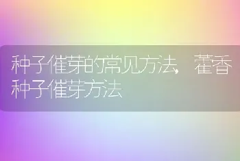 种子催芽的常见方法