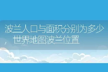 波兰人口与面积分别为多少