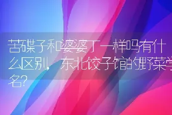 东北饺子馆的野菜学名