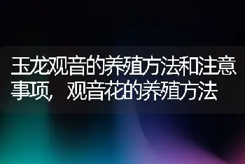 玉龙观音的养殖方法和注意事项