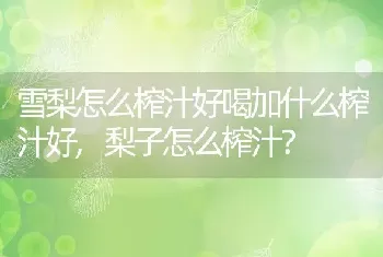 梨子怎么榨汁