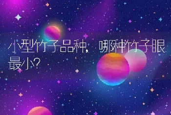 哪种竹子眼最小