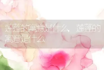 莲蓬的寓意是什么