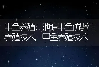 甲鱼养殖:池塘甲鱼仿野生养殖技术