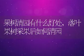 果树清园有什么好处