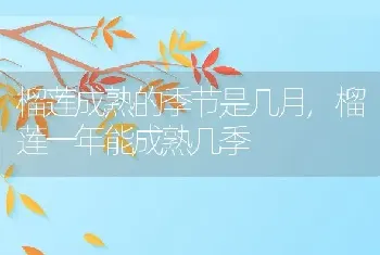 榴莲成熟的季节是几月