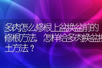 怎样给多肉换盆换土方法