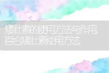 女性朋友生日送什么花