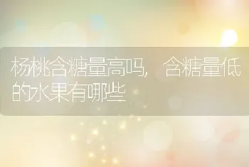 杨桃含糖量高吗