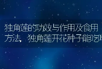 种植小青菜叶子枯皱卷曲