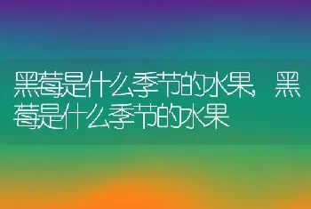 黑莓是什么季节的水果