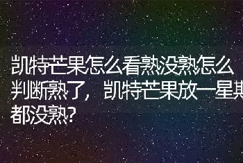 凯特芒果放一星期都没熟