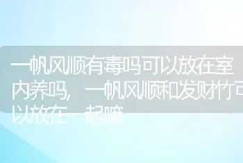 一帆风顺有毒吗可以放在室内养吗