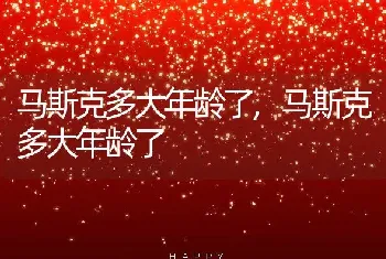 马斯克多大年龄了