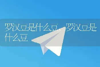 罗汉豆是什么豆