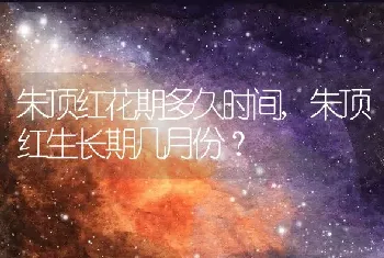 朱顶红生长期几月份