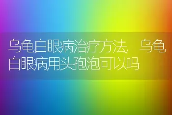 乌龟白眼病治疗方法