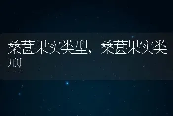 桑葚果实类型