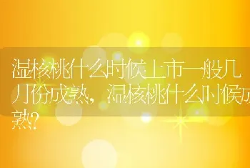 湿核桃什么时候成熟