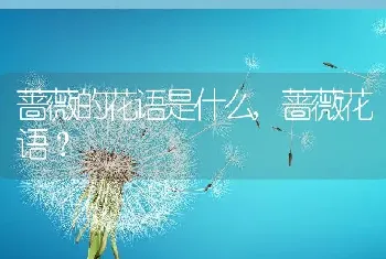 蓝莓树苗怎么种