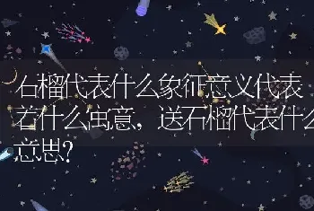 送石榴代表什么意思