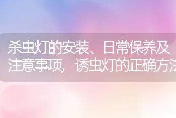 杀虫灯的安装、日常保养及注意事项