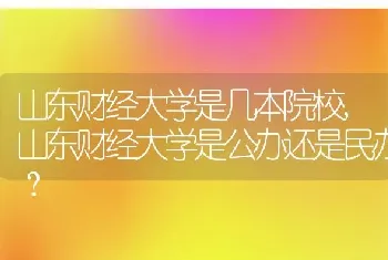 山东财经大学是公办还是民办