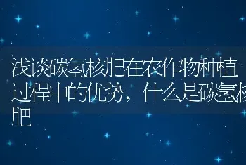 浅谈碳氢核肥在农作物种植过程中的优势