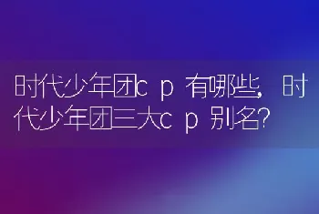 时代少年团三大cp别名