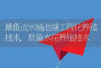 草鱼流水槽池塘工程化养殖技术